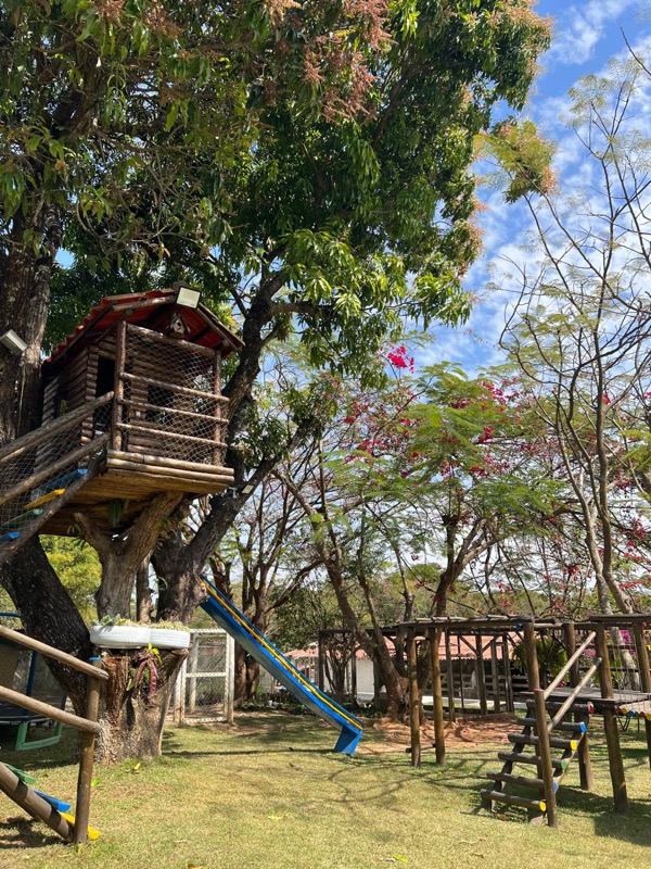 Playground e casa na árvore