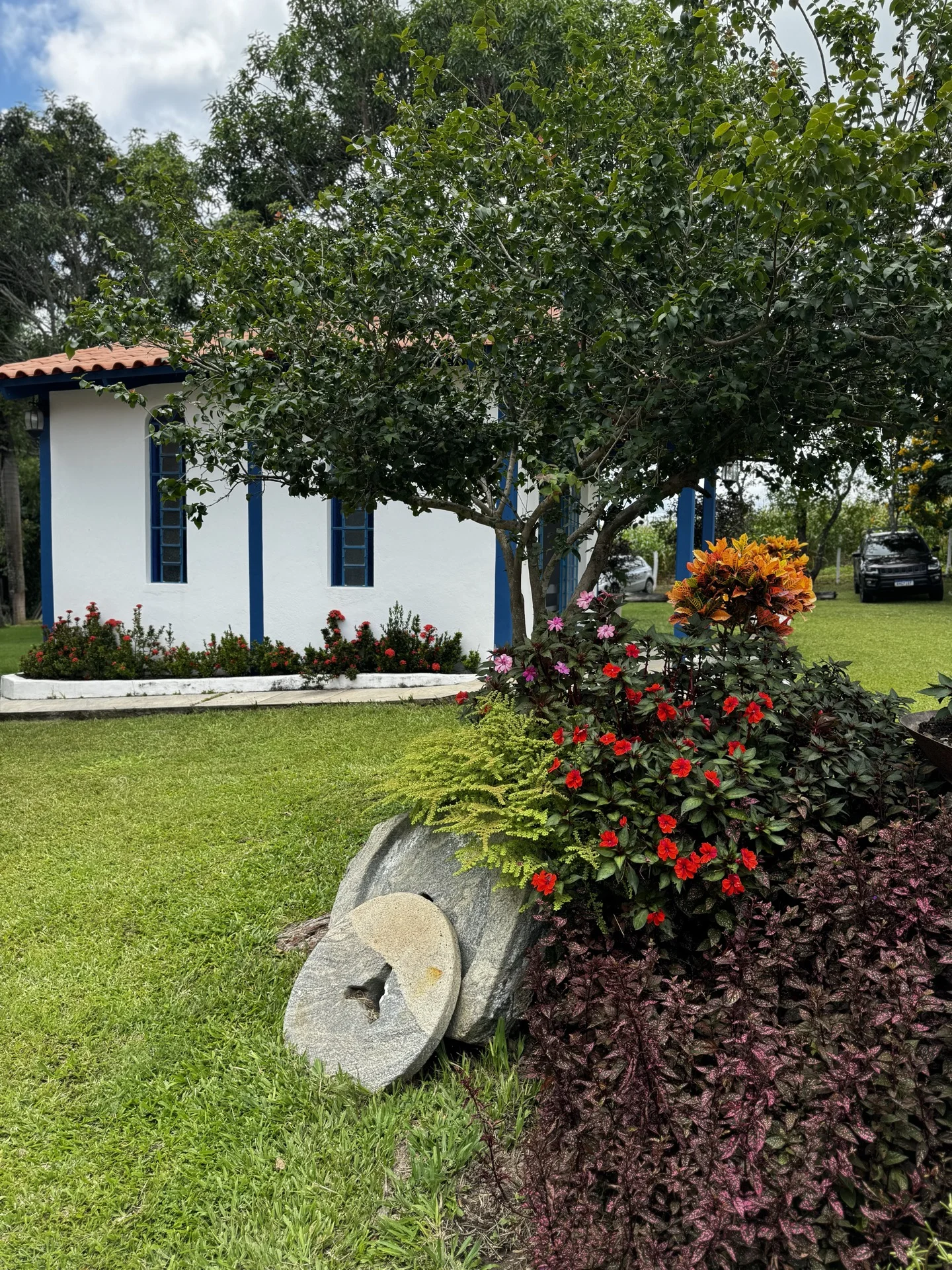 Jardim com decoração
