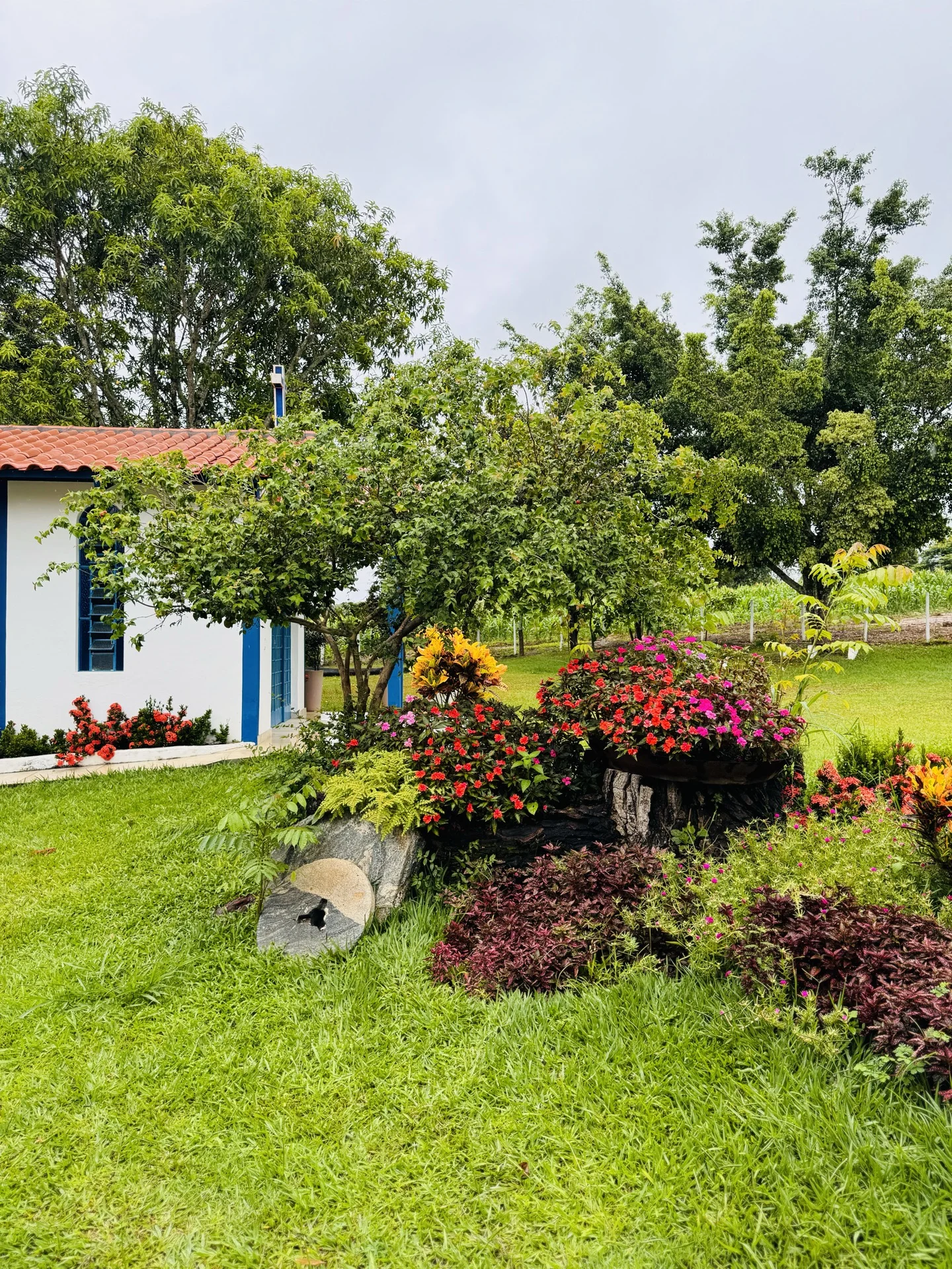 Jardim florido com capela