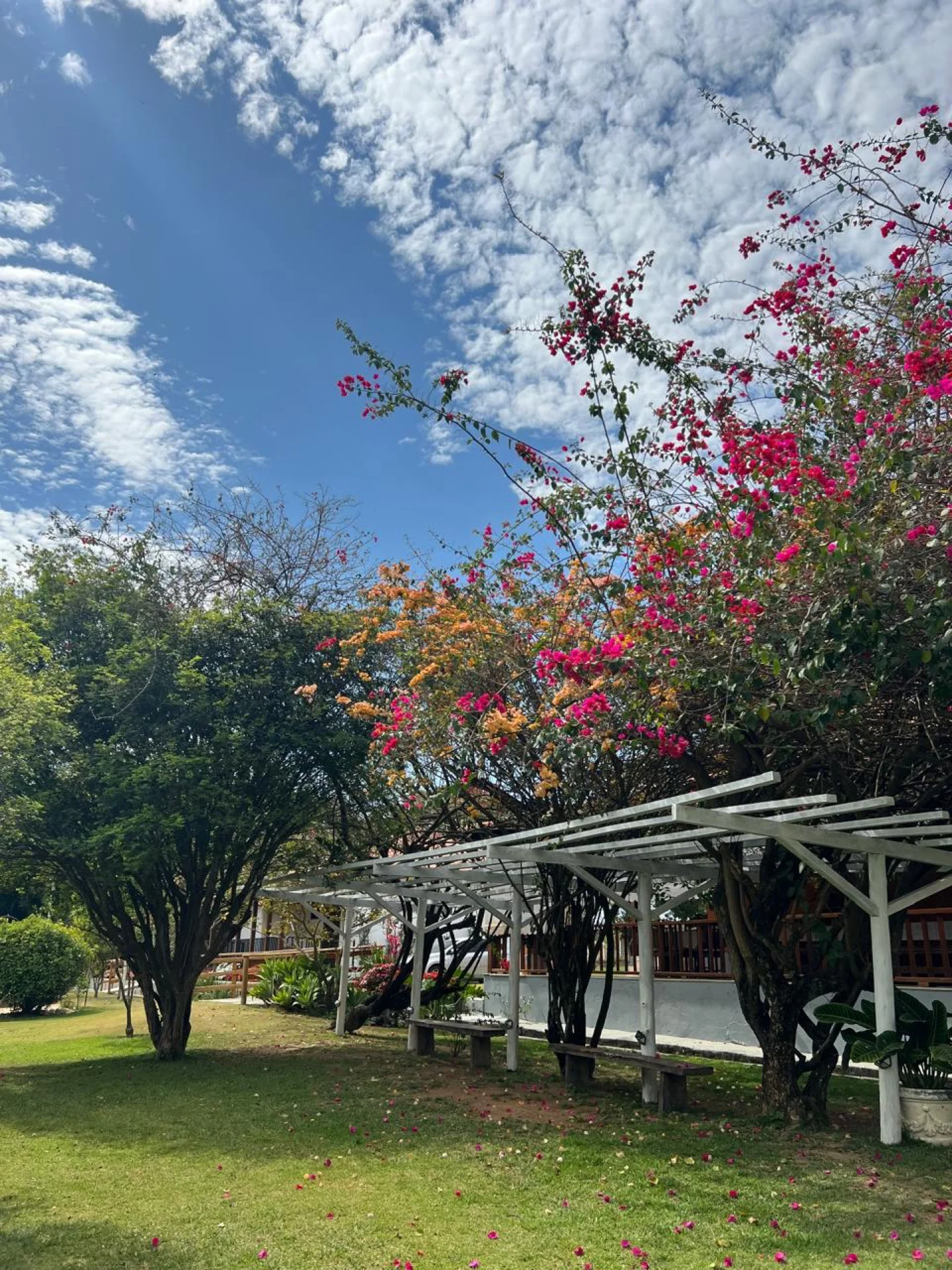 Pérgola branca no jardim