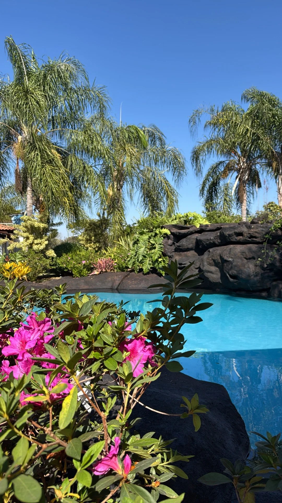 Piscina com azaleias