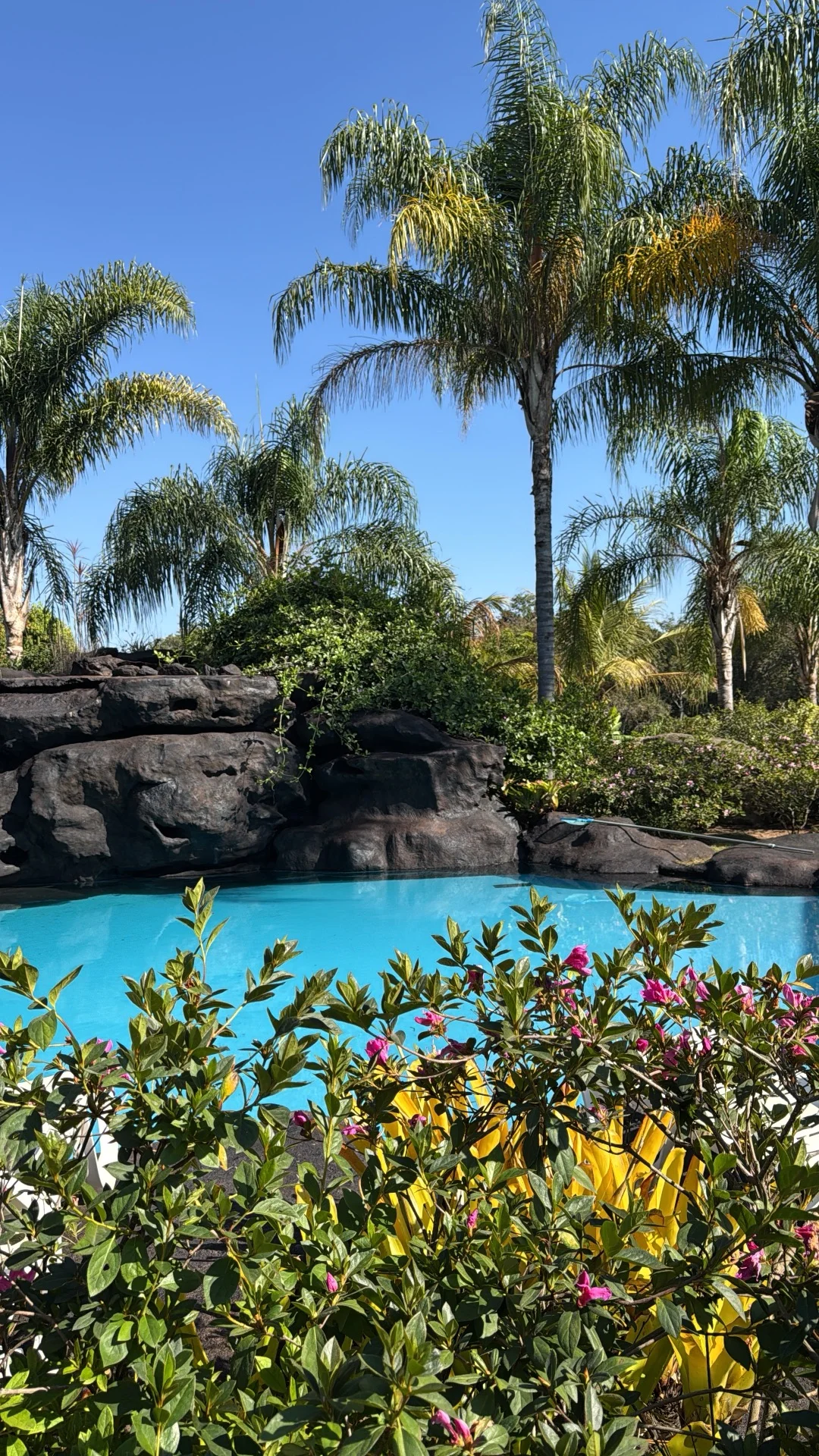 Piscina com flores