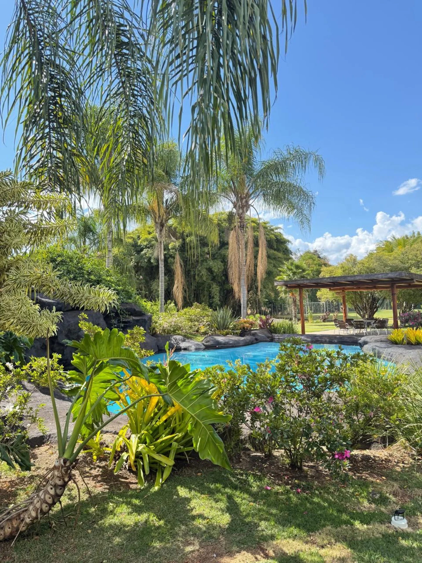 Piscina com pérgola